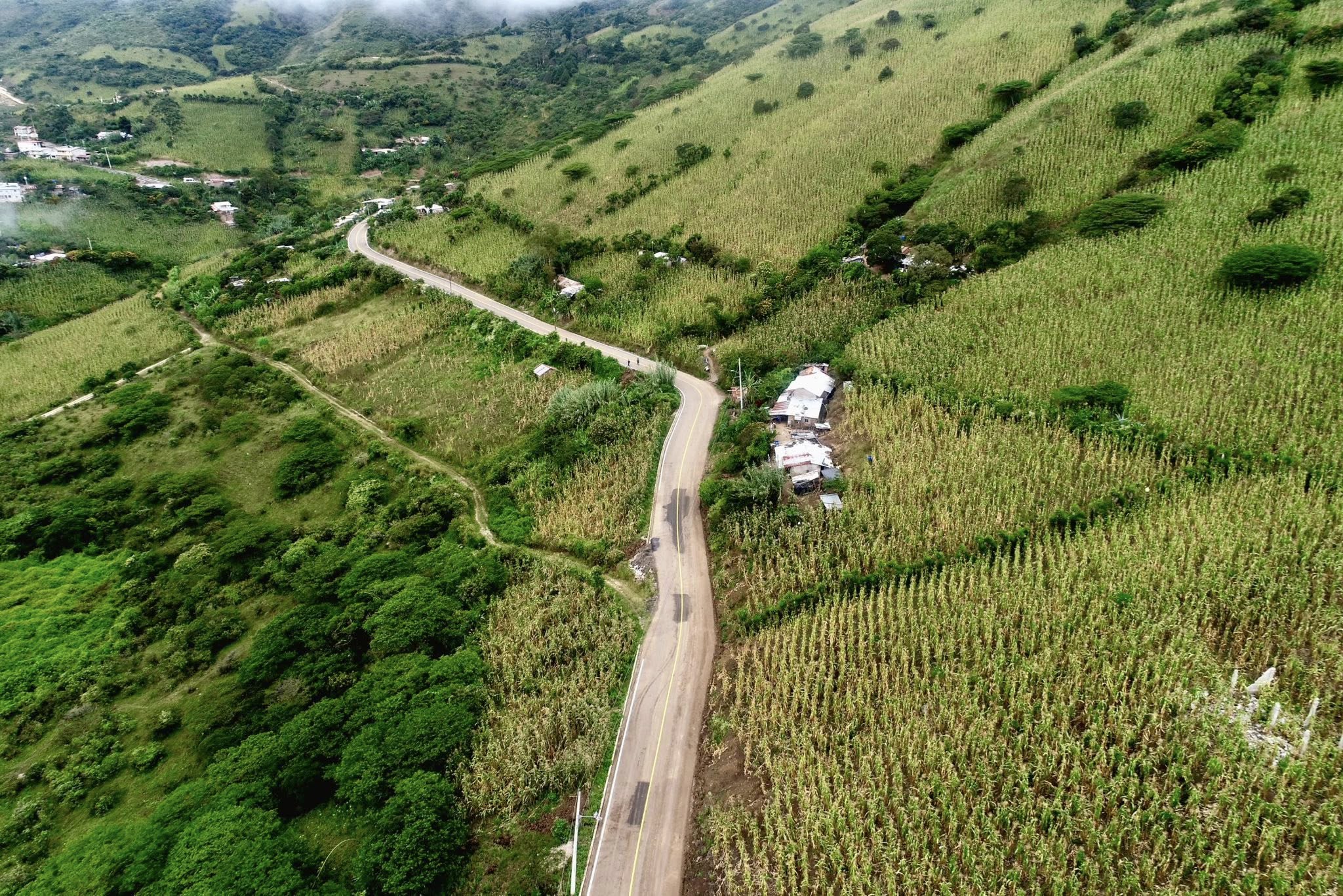 501255419_1113887444105165_4657208601710616264_n